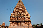 The great Chola temples of Tamil Nadu - The Brihadishwara Temple of Thanjavur. The tower, the tallest extant in India. 